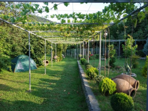 Guest House Gardenia & Wine Cellar